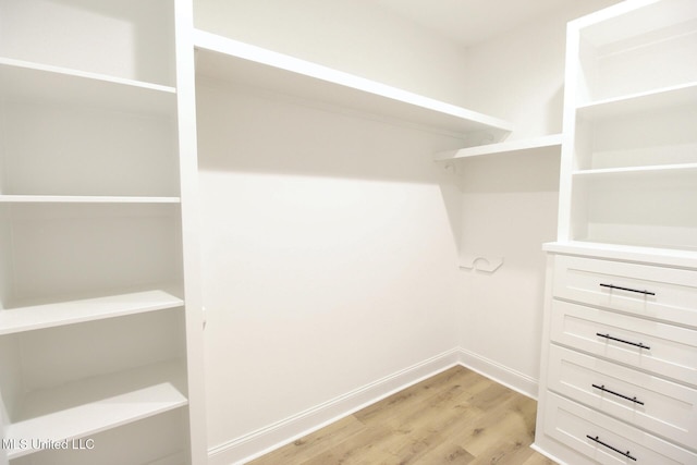 spacious closet featuring light wood-style floors