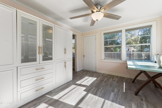 interior space featuring ceiling fan