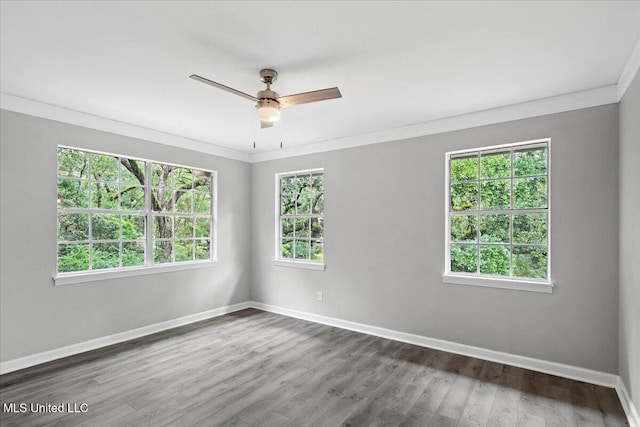 empty room with wood-type flooring, a wealth of natural light, and crown molding