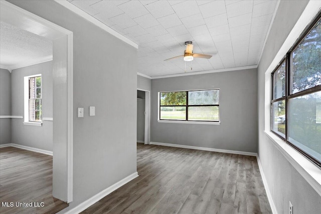 empty room featuring wood-type flooring, ceiling fan, and ornamental molding