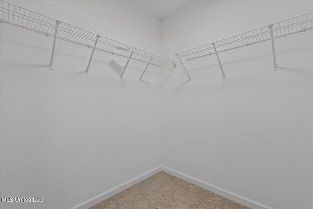 spacious closet with carpet floors