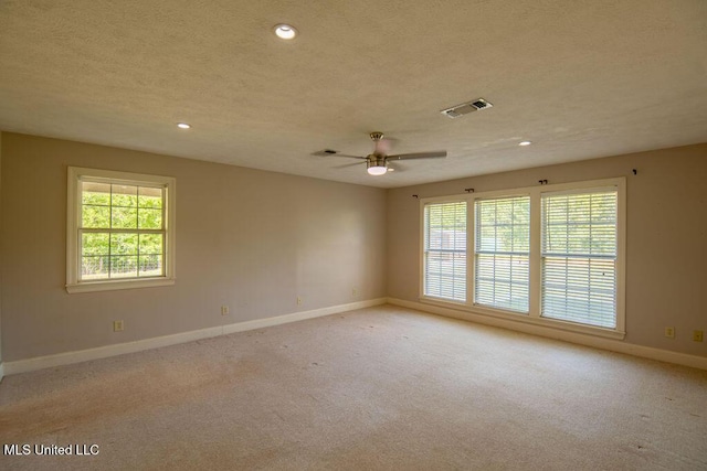 290 Abigail Ln, Bentonia, MS 39040 - empty room featuring plenty of natural light, visible vents, baseboards, and light carpet