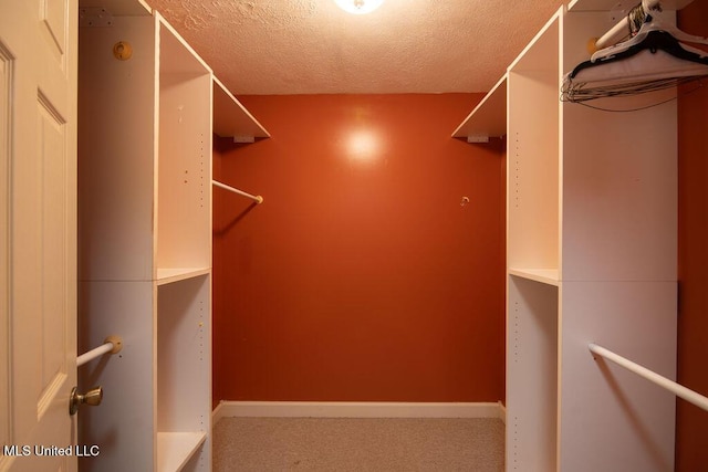 290 Abigail Ln, Bentonia, MS 39040 - walk in closet with carpet flooring