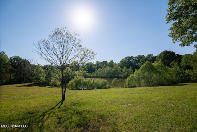 290 Abigail Ln, Bentonia, MS 39040 - view of yard with a forest view