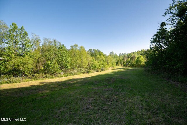 290 Abigail Ln, Bentonia, MS 39040 - view of nature with a wooded view