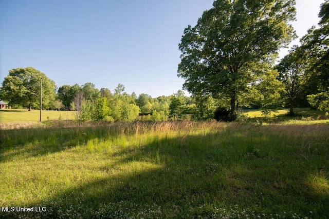 290 Abigail Ln, Bentonia, MS 39040 - view of landscape