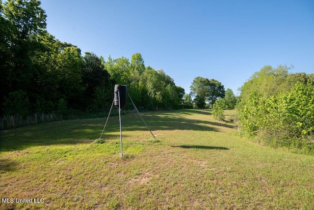 290 Abigail Ln, Bentonia, MS 39040 - view of yard