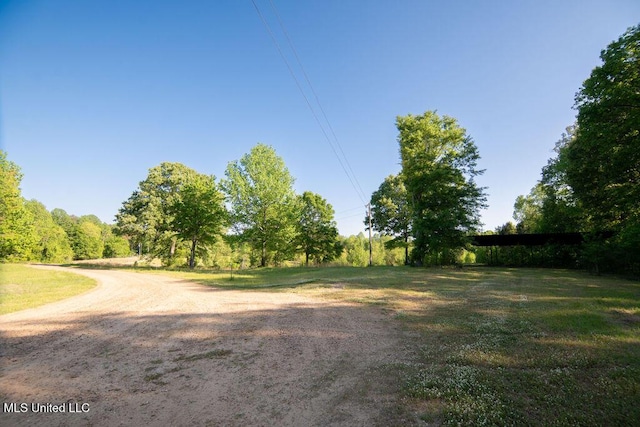 290 Abigail Ln, Bentonia, MS 39040 - view of street