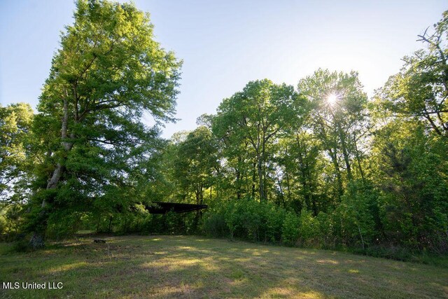 290 Abigail Ln, Bentonia, MS 39040 - view of yard