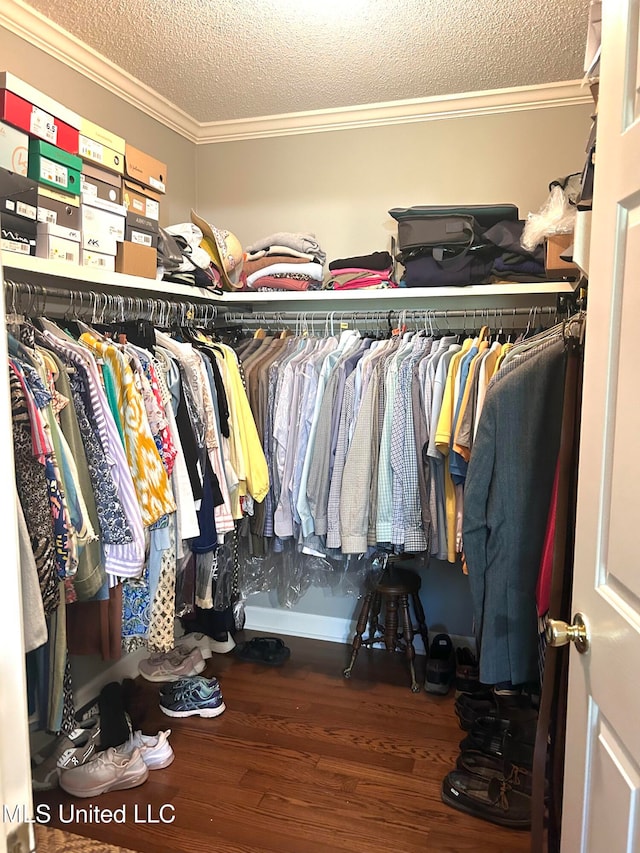 walk in closet featuring hardwood / wood-style floors