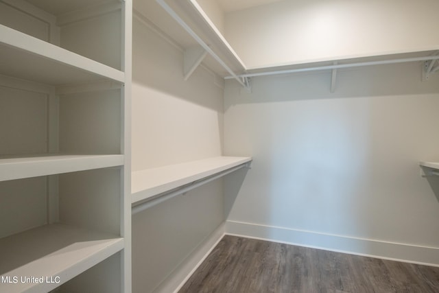 walk in closet with dark hardwood / wood-style floors