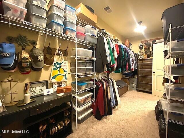 771 Robertson Way, Hernando, MS 38632 - spacious closet featuring carpet floors
