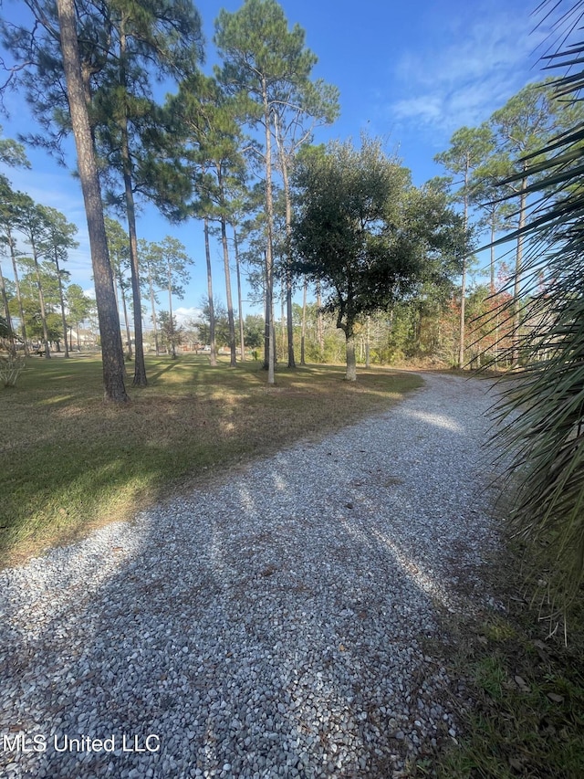 6301 Mary Mahoney Dr, Ocean Springs, MS 39564 - view of yard