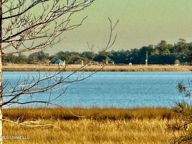 6301 Mary Mahoney Dr, Ocean Springs, MS 39564 - water view