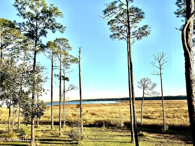 6301 Mary Mahoney Dr, Ocean Springs, MS 39564 - view of yard featuring a water view