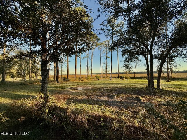 6301 Mary Mahoney Dr, Ocean Springs, MS 39564 - view of nature