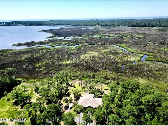 6301 Mary Mahoney Dr, Ocean Springs, MS 39564 - view of property location with a nearby body of water and a forest