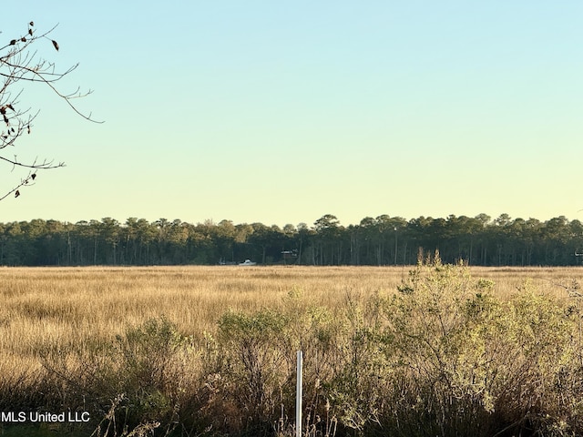 6301 Mary Mahoney Dr, Ocean Springs, MS 39564 - view of tree filled area with a rural view