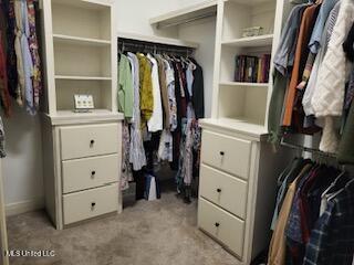 3808 Acadian Village Dr, Ocean Springs, MS 39564 - spacious closet featuring light colored carpet