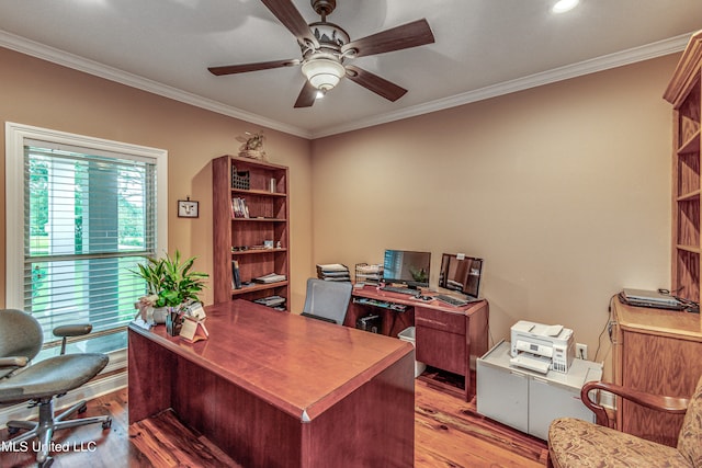 office space featuring light hardwood / wood-style flooring, ornamental molding, and ceiling fan