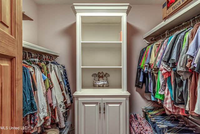 view of walk in closet