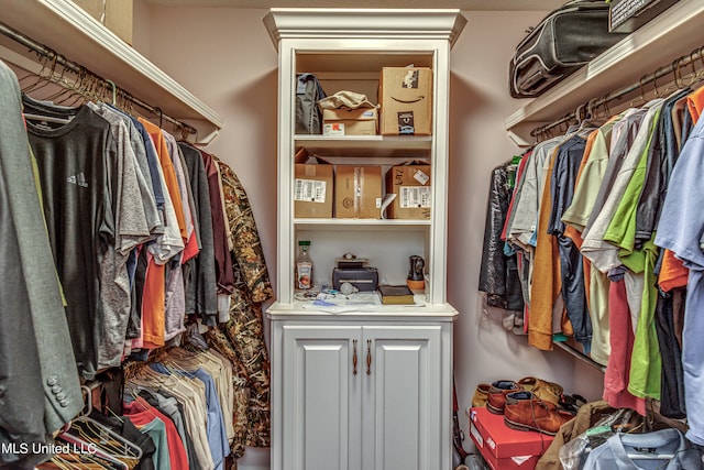 view of walk in closet