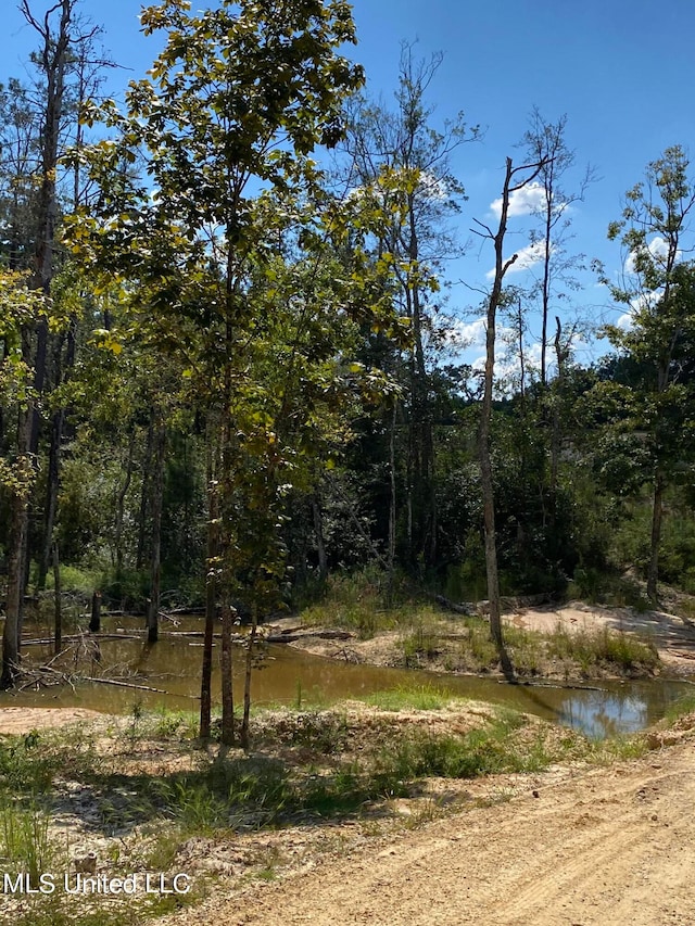 view of landscape with a water view