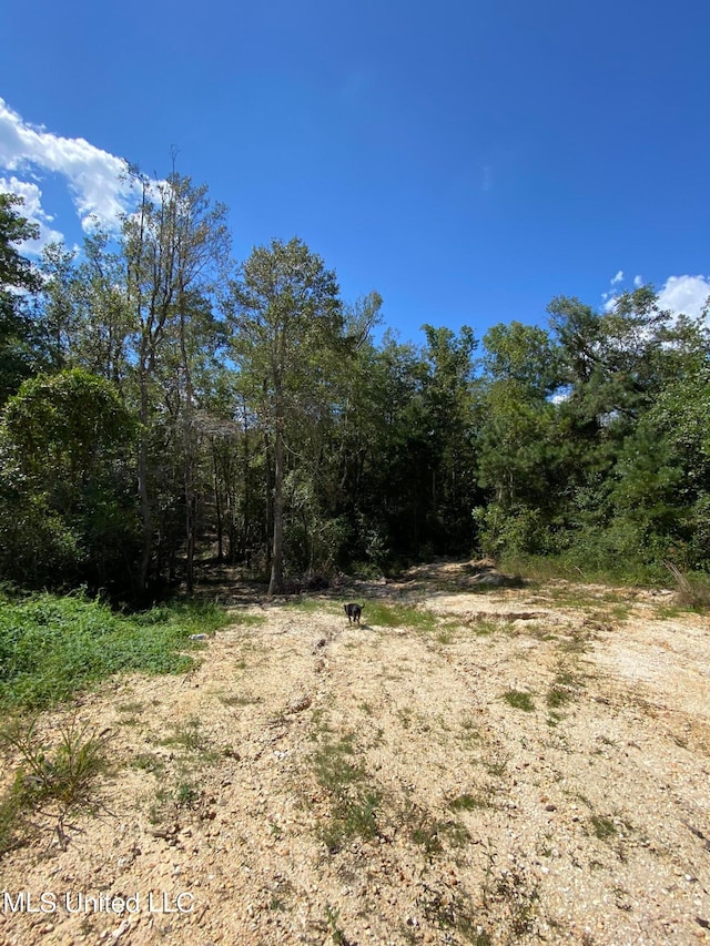 view of local wilderness