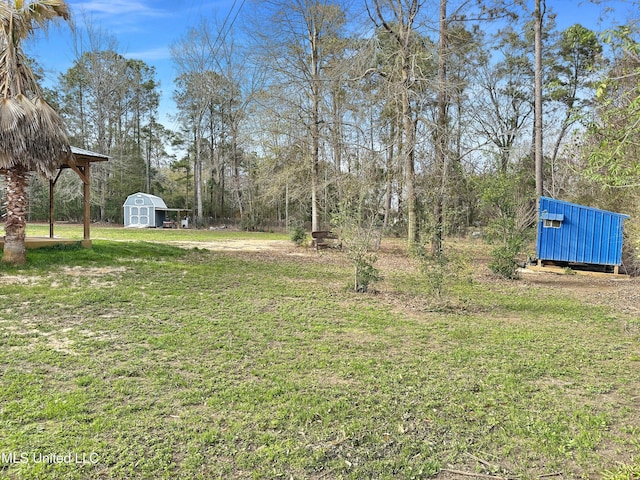 view of yard featuring an outbuilding and a storage unit