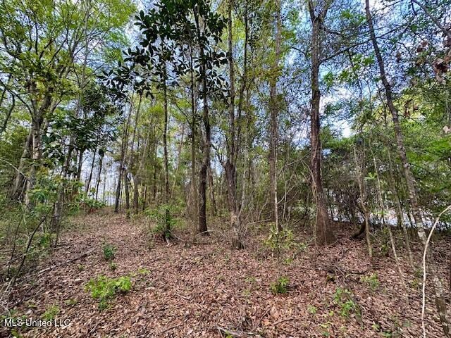 Simon Blvd, Ocean Springs, MS 39564