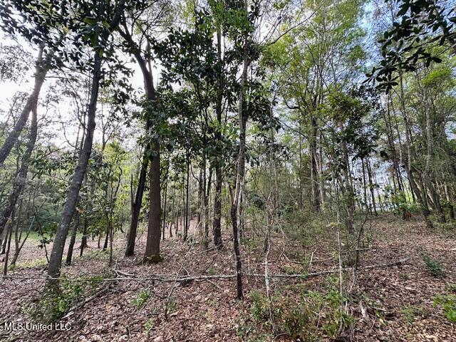 Simon Blvd, Ocean Springs, MS 39564
