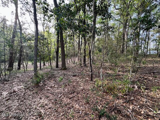 Simon Blvd, Ocean Springs, MS 39564