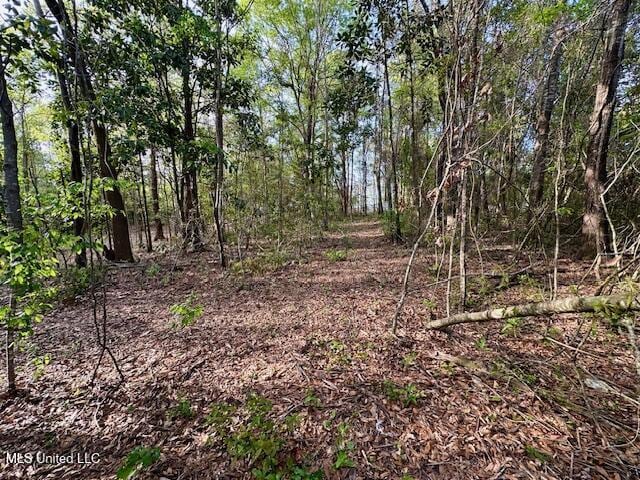 Simon Blvd, Ocean Springs, MS 39564