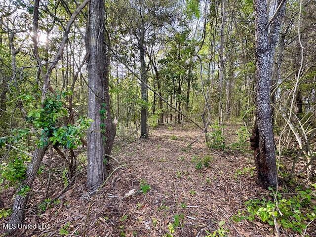 Simon Blvd, Ocean Springs, MS 39564