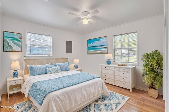 216 Buena Vista Dr, Long Beach, MS 39560 - bedroom with light wood-type flooring, a ceiling fan, electric panel, and multiple windows