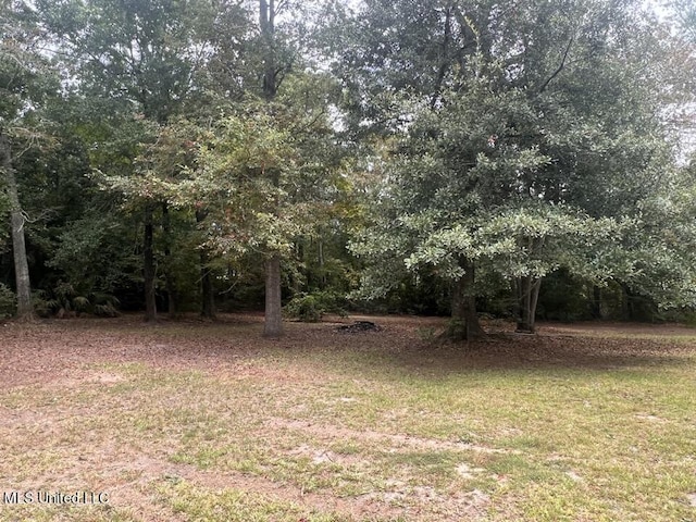 216 Buena Vista Dr, Long Beach, MS 39560 - view of yard