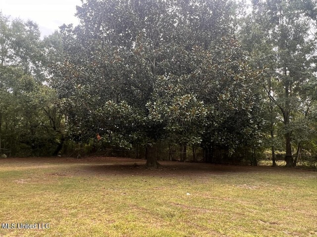 216 Buena Vista Dr, Long Beach, MS 39560 - view of yard