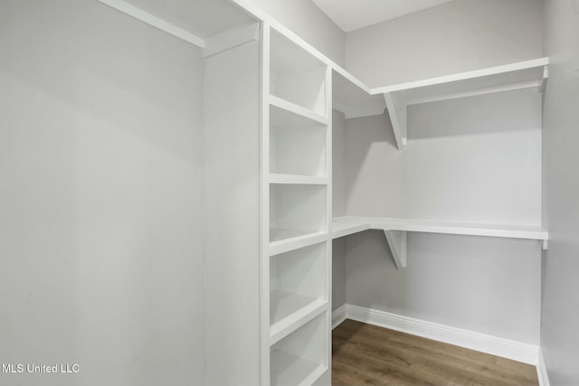 walk in closet with dark wood-type flooring