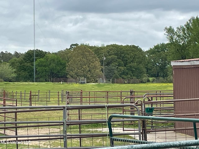 view of yard featuring a rural view and an outdoor structure