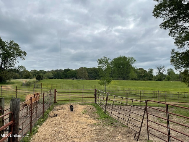 view of yard featuring a rural view