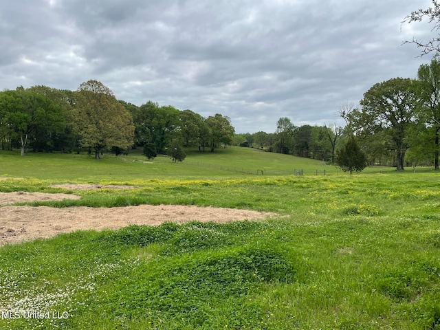 view of nature featuring a rural view