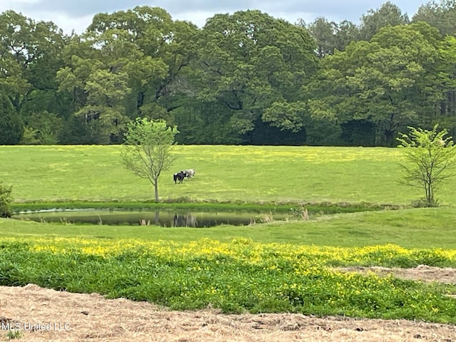 view of community with a yard and a water view