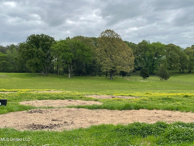 view of landscape featuring a rural view