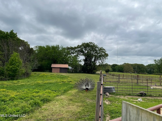 view of yard with a storage unit and a rural view