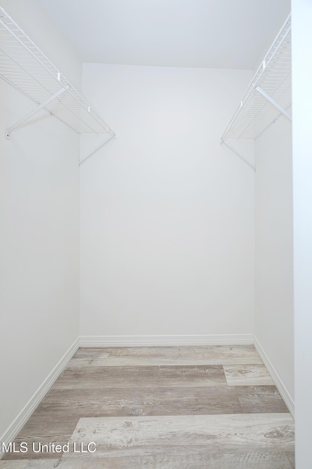 spacious closet with wood-type flooring