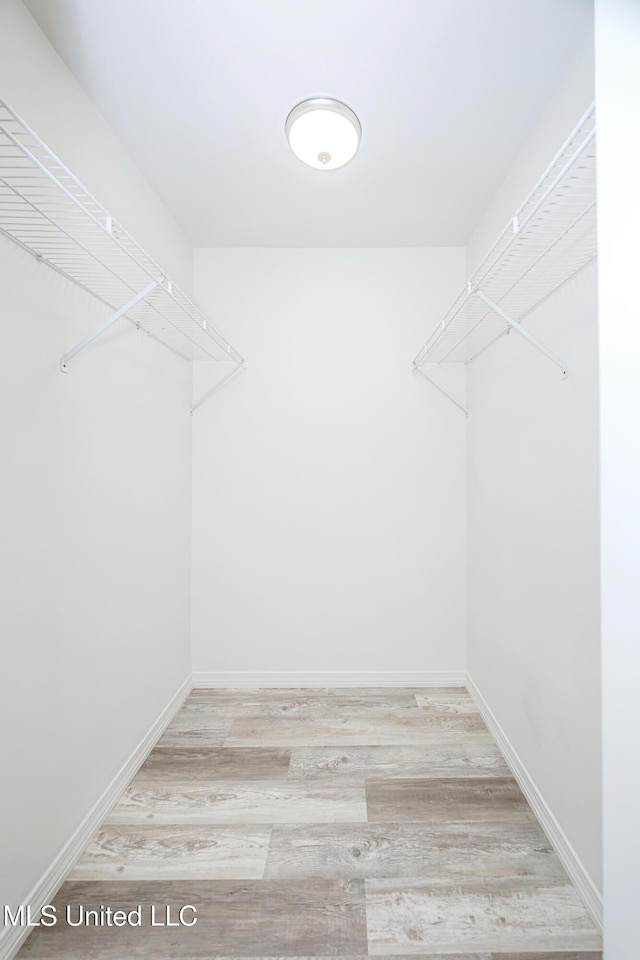 walk in closet featuring light hardwood / wood-style floors