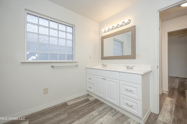 bathroom with wood-type flooring and vanity