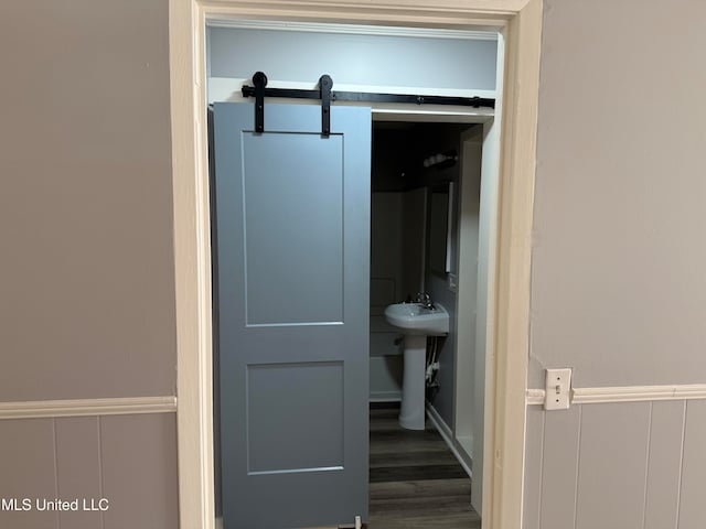 bathroom with sink and hardwood / wood-style flooring