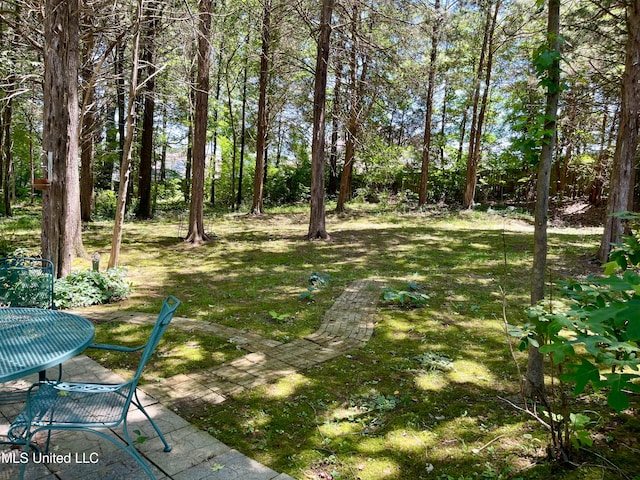 view of yard with a patio area