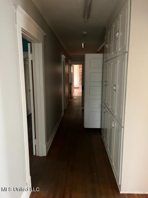 hallway with dark hardwood / wood-style floors